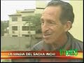 ACEITE DE LOS INKAS - SACHA INCHI