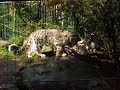 Taronga Zoo Taronga Zoo