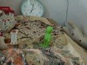 Drama Boneka Episode 1
