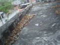 Investigacion a la Rielera de Jojutla Investigacion a la Rielera de Jojutla