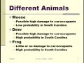 Roadkill Risk