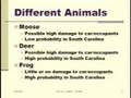 Roadkill Risk