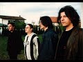 TRAUMA-ZAVR?ETAK SVIRKE ISPRED KOJOTA U ROGOZ-u