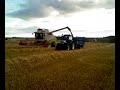 Kertin the wheat Kertin the wheat