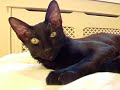SNIKT! AND THWIP! AGED 23.5 WEEKS