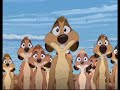 timon pumbaa and meerkats   move it!