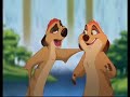 timon pumbaa and meerkats   move it!