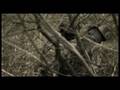 BE-X Trailer