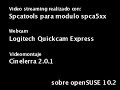 Canarios desde la webcam
