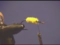 James Wood Bucktail