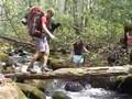 UF Clingman's Dome Backpacking TRiP