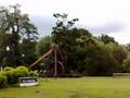 videos de Warwick Castle Trebuchet