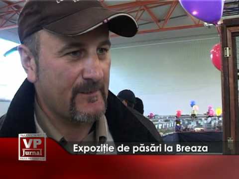 Expoziţie de pasări la Breaza