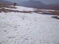 parapente-alpinisme Sierra Nevada