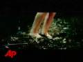  - Piczo Movies Video