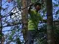 forest club canopy walk