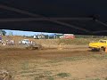 willamina mud races
