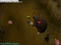 Mole House Break-In!