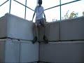 Public Idiots
