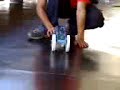 exterminador de bígamos dando cavalo de pau