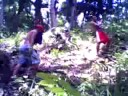 kuha dahon ng saging
