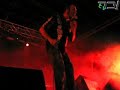 Skunk DF - Anestesia