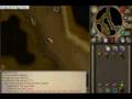 Black Dragon Guide/ How to get there