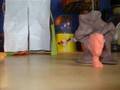 videos de The TimeMachine (blender)