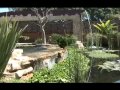 Videos La Vila