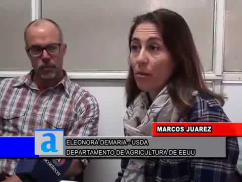 Imagen de previsualización de YouTube