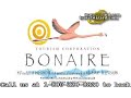 Diving in Bonaire, of the ABC Islands
