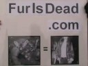 National Anti-Fur Day Demonstration in the News