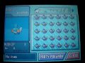 Shiny Mudkip Hatches via Masuda Method