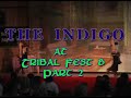 Tribal Fest 8 - The Indigo  part 2. Animal Trouble and Zoe J