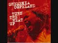 shemekia copeland - your mama's talking