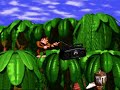 when rare announced at the end of e3 1994 that donkey kong country was in fact for the snes and not for the ultra 64, jaws dropped. using a tecnhique called acm (advanced computer modelling, rendering models and animating them in high end cgi machines, then turning them into 2d sprites...smart!), dkc was a mark not only in snes history, but videogame alltogether. we were being delivered in 1994 on a 16 bit system a game that not only looked next gen, it looked like a tecnhological miracle.

it not only had amazing graphics, the soundtrack by robin beanland, eveline fischer, and dave wise was one of the most memorable ones on the system. if youre a fan, make sure to get the opverclocked remix project, kong in concert:

http://dkcproject.ocremix.org/

this was with f-zero one of the starting snes lineup titles for the european wii vc.

this game also debuted the donkey kong model as you know it now, and has since become my favorite nintendo character. not much else to say, really. if you missed the game at the time, make sure you do grab it now on the wii vc, tis were truly amazing days for a video game passionate like me.