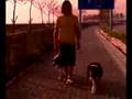 videos de VIDEO0010.mp4