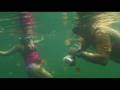 Jellyfish Lake, Palau: courtesy of the short bus crew