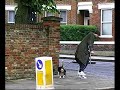 beating in the street beating in the street