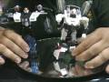 Titanium War Within Prowl