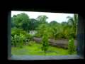MOV00253