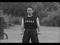 Pan Nam Wing Chun Pan Nam Wing Chun