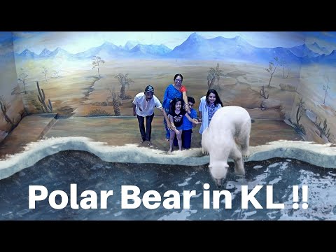 3D illusion Art Museum Kuala Lumpur - 01 - Air Land Sea I Mou Malaysia