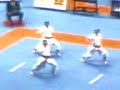 EUROKARATE 2008 TRIESTE