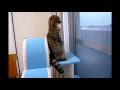 Why Does This Cute Cat Keep Standing? 
