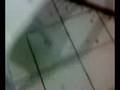 videos de QUEBRANDO O COFRINHO...