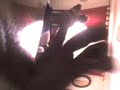todos me miran nacha y dani