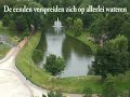 massa eenden spoelen aan op Belgische kusten massa eenden spoelen aan op Belgische kusten