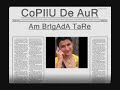 copilu-de-aur-AM-BRI