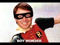 Batman spoof Primary Knight